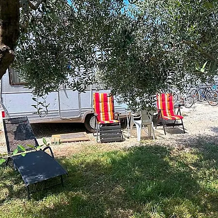 Camper Umma * Pula